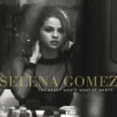 Selena Gomez - The Heart Wants What It Wants (6IX & GöldiiLocks Bootleg)