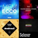 Calvin Harris, Rehab vs Deadmau5,Nom de Strip vs MEM, Ummet Ozcan - Burnin\' The Reward is Ecco (Salazar Mashup)