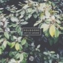 Poldoore - Ain\'t No Sunshine (Original Mix)