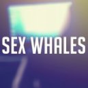 Sex Whales - Everything I Want