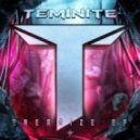 Teminite - Evolution