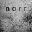 NORR - The Evidence