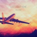 Roald Velden - Last Flight Home