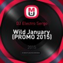 DJ Electro Sergo - Wild January
