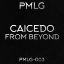 Caicedo - From Beyond (Original Mix)