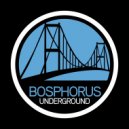 Zi O & Degroove - Black Bird (Original Mix)