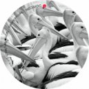 Miss Electric - Analytic Solution (Original Mix)