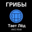 Грибы - Тает Лёд