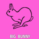 Big Bunny - Don\'t Lose Your ?hance (Dub mix)