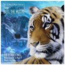 Mr. Dj Monj, Maxim Andreev feat. Julia Turano - Feel The Music