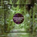 Sasha Sound - New Spring