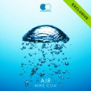 Mike Cox - Rain can not go forever (Original Mix)