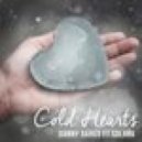 Danny Darko ft. Solara - Cold Hearts