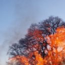 Lazarus Moment - Broken