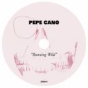 Pepe Cano - Running Wild (Radio Edit)