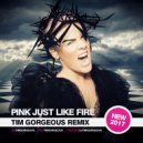 Pink - Just Like Fire (Tim Gorgeous Remix)