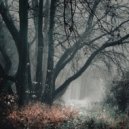 Tim Schaufert - Fairytale