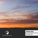 Renaldas - Little Gifts You Gave Me (Original Mix)