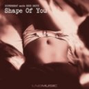 Hyperbeat meets Nick Skitz - Shape Of You (Wings & Rider Remix)