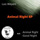 Luis Weyers - Good Night (Original mix)