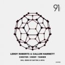 Leroy Roberts & Callum Hammett - Chester (Battric & MIVU Remix)