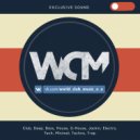 Austin Mahone ft. Pitbull - Lady (Wideboys Pool Party Extended) (Original Mix)