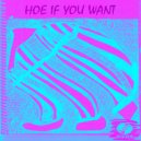 iCizzle - Hoe If You Want