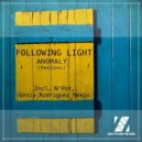 Following Light - Anomaly (N\'pot Remix) (Original Mix)