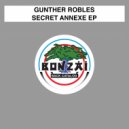 Gunther Robles - The Raven (Original Mix)