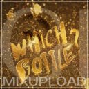 GIRLBAD - Which Bottle? ( DANCE Mix'2017 Vol.28)