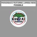 Paradisiacs - Possible (Jake Shanahan Dub Mix)