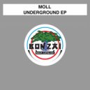 Moll - Earthquake