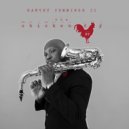 Harvey Cummings - Chicken Day (Original Mix)