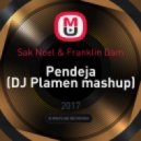 Sak Noel & Franklin Dam - Pendeja (DJ Plamen mashup)