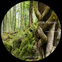 Milos Pesovic - Need Some Energy (Davide Cali remix)