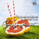 Plusminuseins feat. BJH Berlin Future - Plus Grapefruit