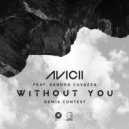 Avicii feat. Sandro Cavazza - Without You (Otter Berry Remix)