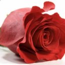 al l bo - Lady (original mix)