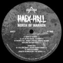 HAEX-HRLL - North Of Warren (Vercetti Technicolor Remix)
