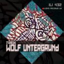 Wolf Untergrund - Waiting