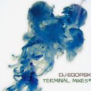 DJ Egorsky - -Terminal mixes#6(2017)