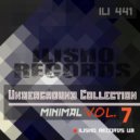 SelivaN DJ - Rain (Original Mix)