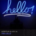 Veritux & A R I A - The Calls (Original Mix)