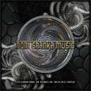 Synthetik Chaos - Peter Les Boolons