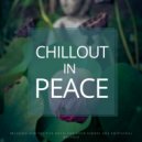 Dani W. Schmid - The Chi Theme (Original Mix)