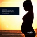 CRYDITS - Beginning Of Life (Southern Tier Remix)