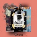 Wolsh - The Mist (Original Mix)