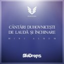 SkiDropz - Indigo