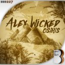 Alex Wicked - Next Level