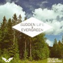 Windefalk - Evergreen (Radio Edit)